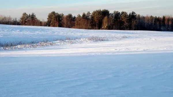 В ЕАО сбежавший из колонии-поселения осужденный скончался от переохлаждения