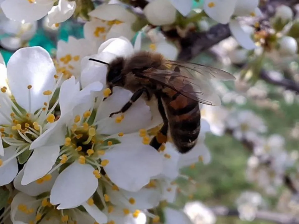 Фото: REGIONS/Юлия Габбасова