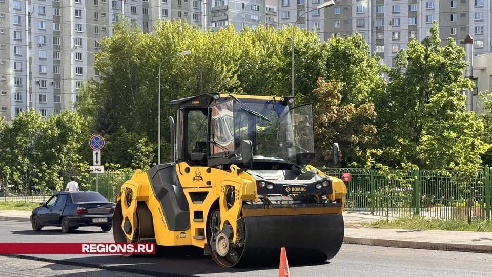 Фото: Мария Шматкова