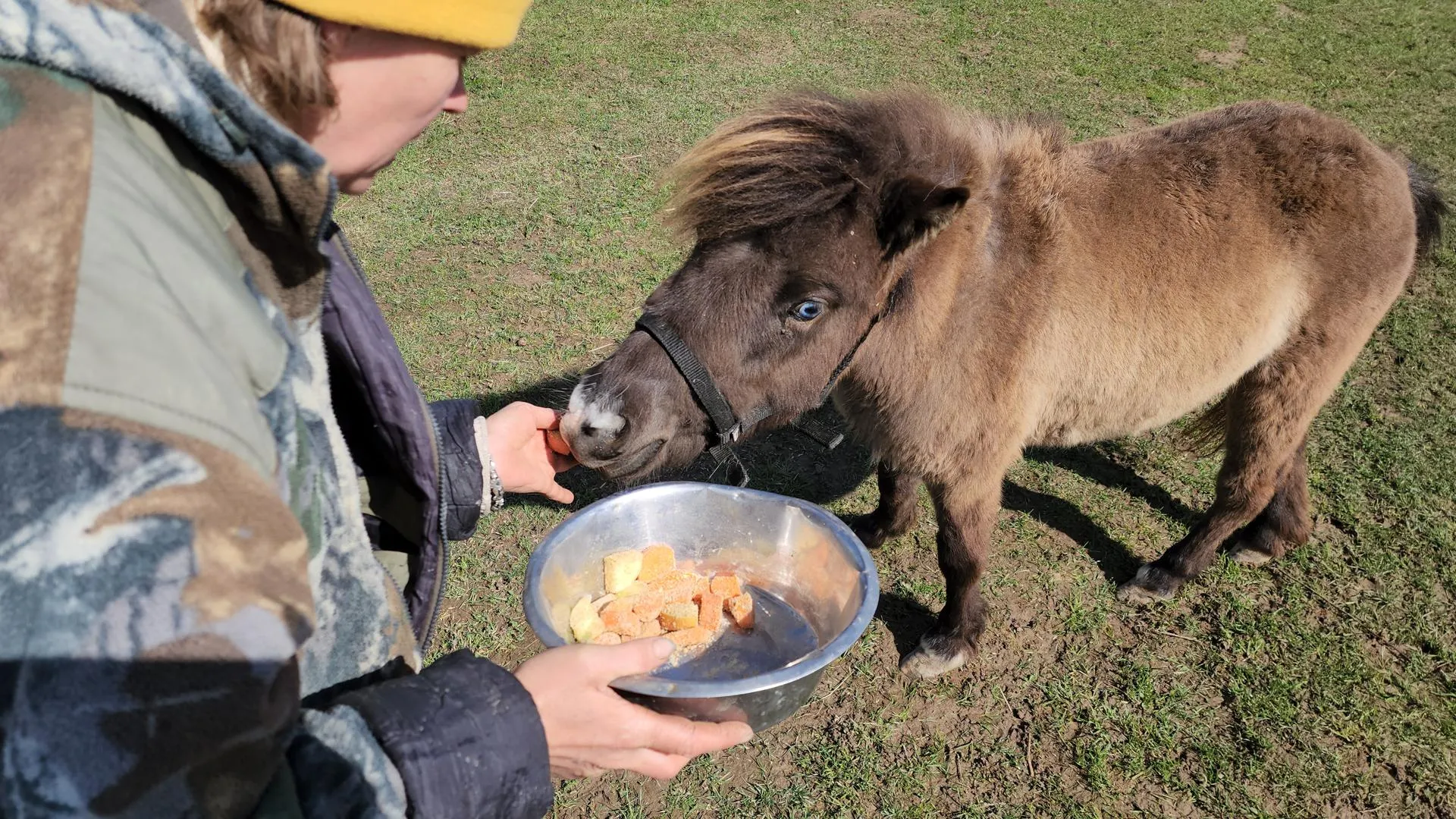 Фото: Екатерина Данилина