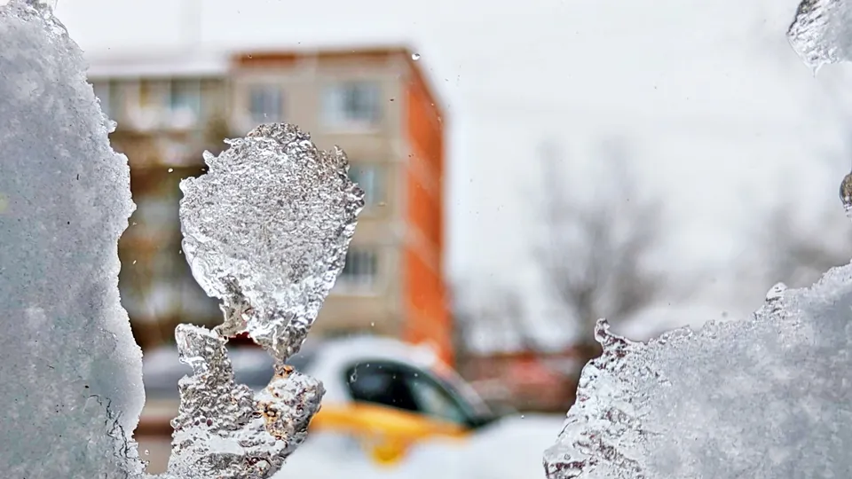 Фото: REGIONS/Алексей Селиверстов