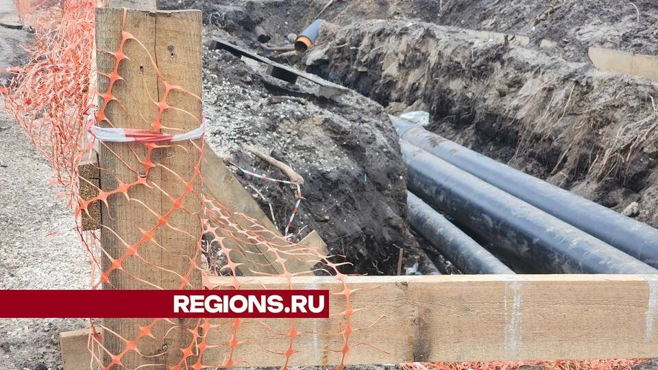 Фото: Ольга Сычева