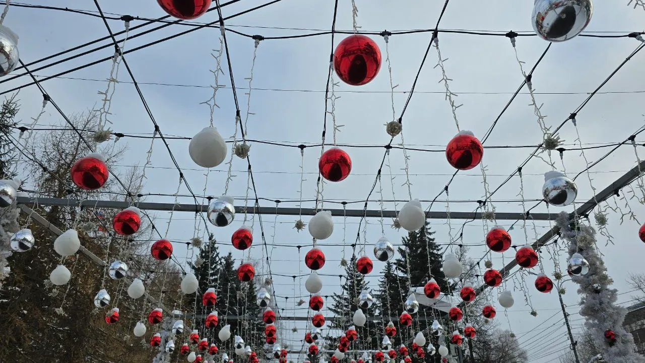 Фото: МедиаБанк Подмосковья/Яна Шаливская