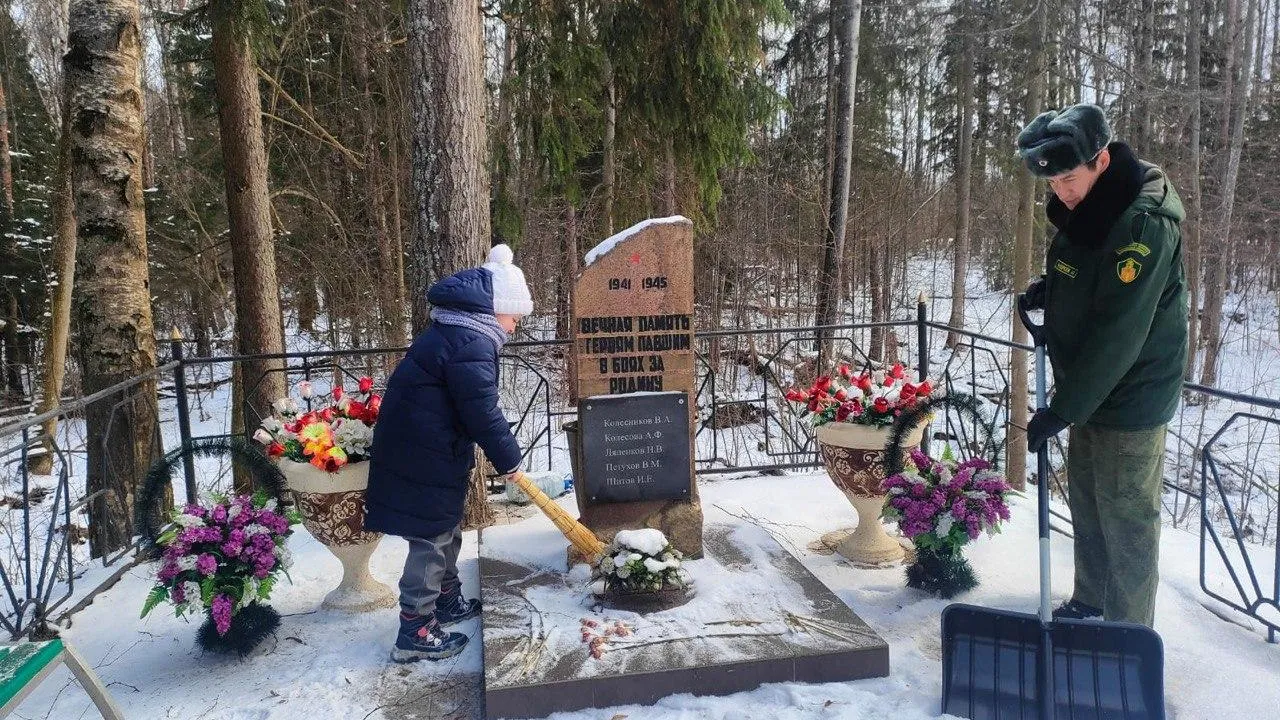 Фото: Комитет лесного хозяйства МО