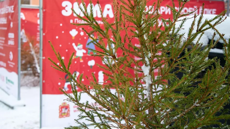 Фото: пресс-служба администрации г.о. Коломна