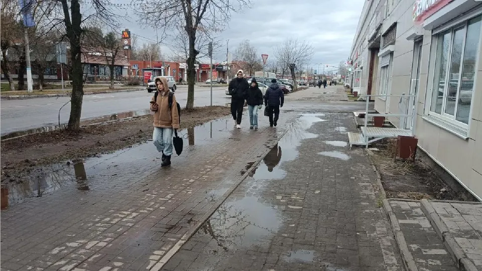 Фото: пресс-служба администрации городского округа Шатура