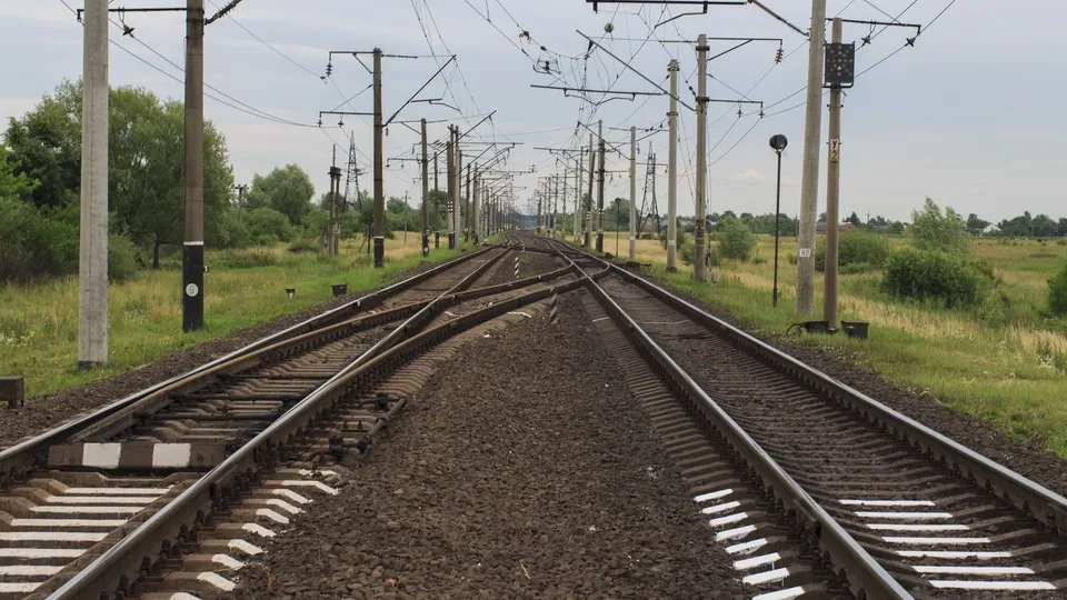 Фото: pxhere.com