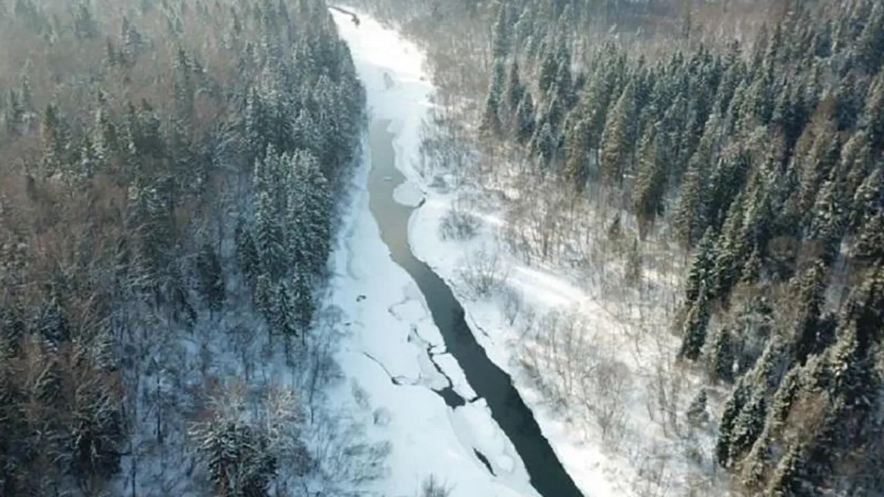 Минэкологии МО