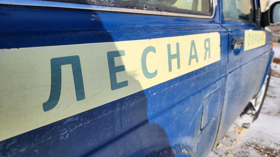 Фото: Ирина Матвеева