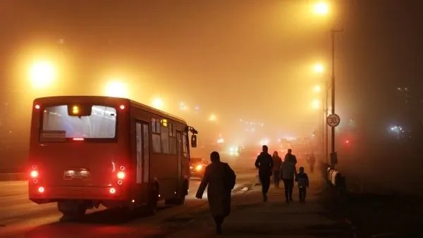 Жителей Подмосковья предупредили о сильном тумане