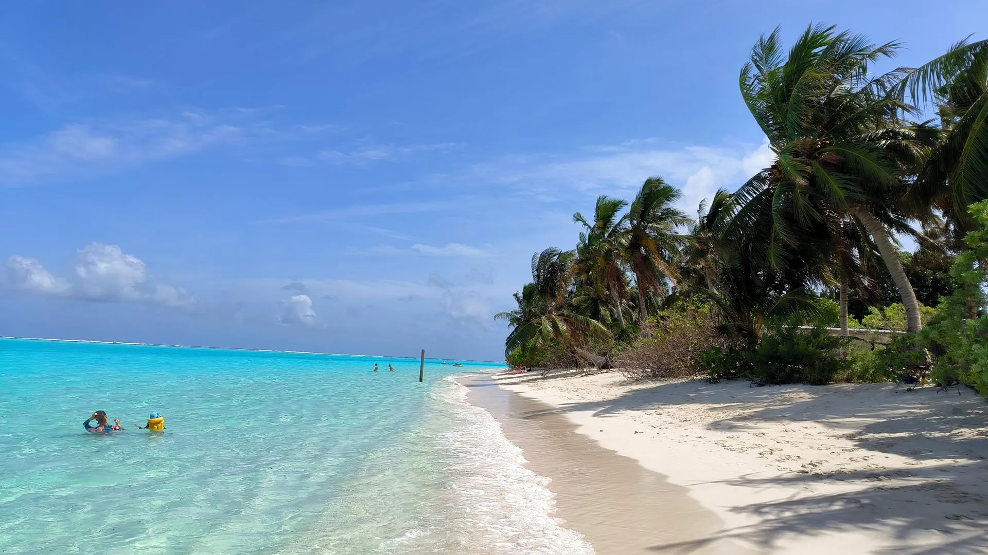 Maksim Konstantinov/Global Look Press