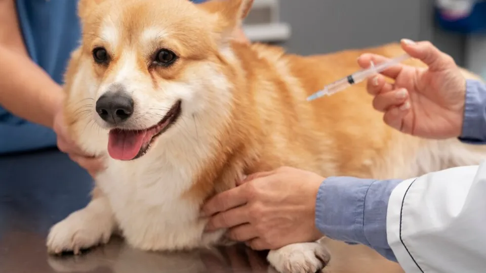 Фото: freepik.com