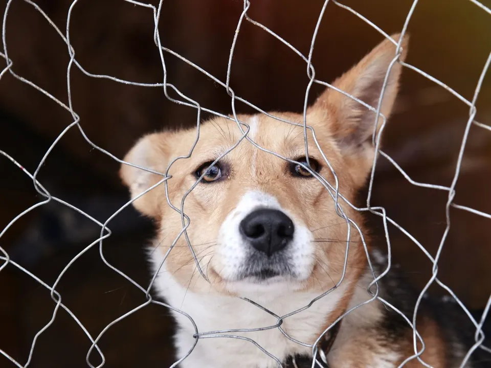 Фото: медиасток.рф&nbsp;