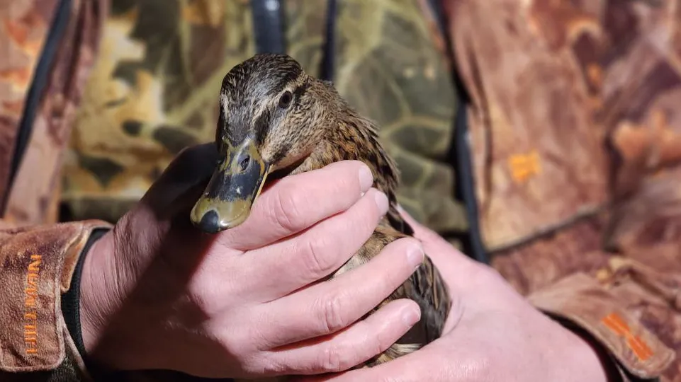 Фото: МедиаБанк Подмосковья/Евгений Рой