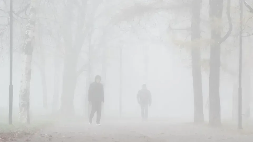 медиасток.рф