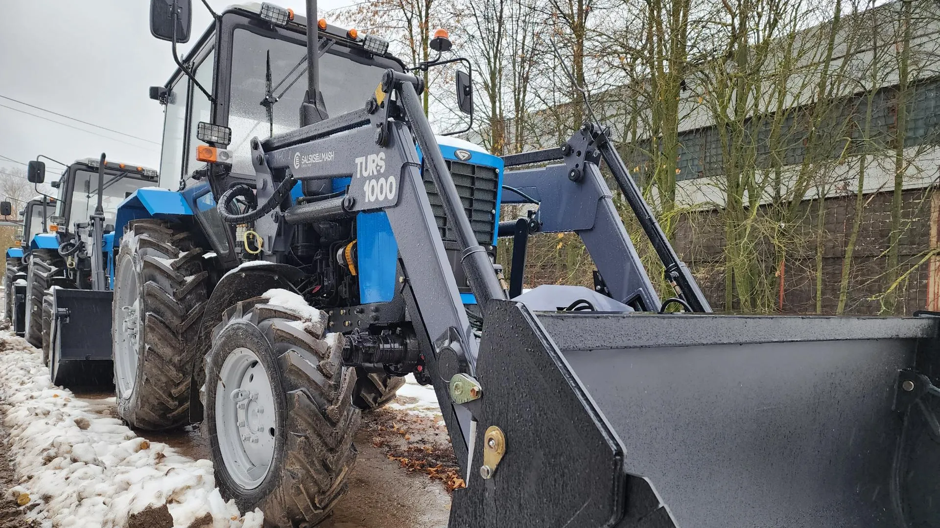 Фото: Светлана Плотникова