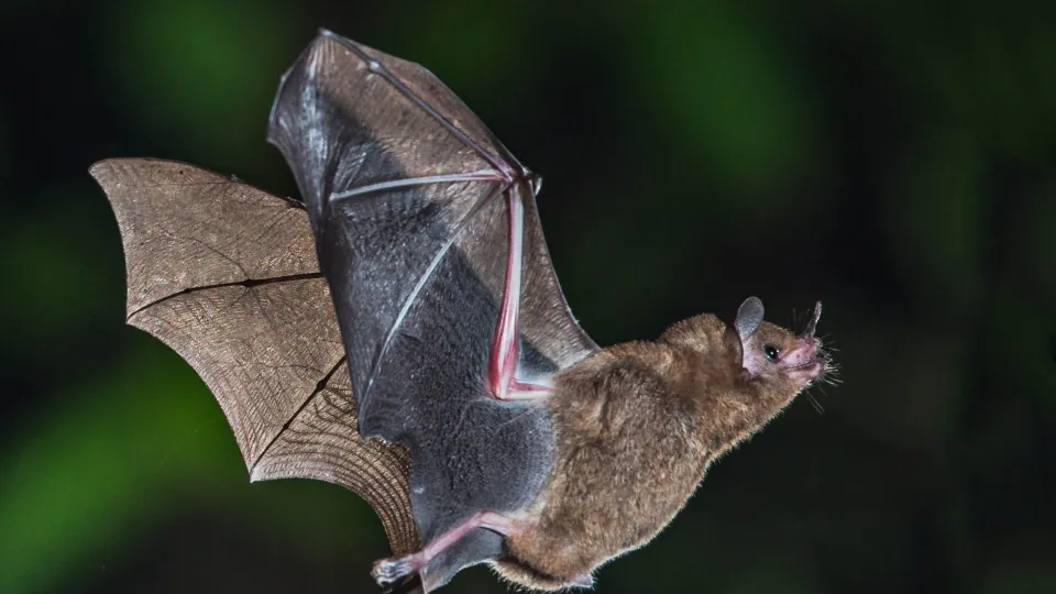 Фото: pxhere.com