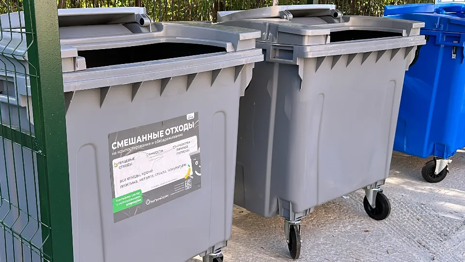 Фото: МедиаБанк Подмосковья/Данила Кирьянов