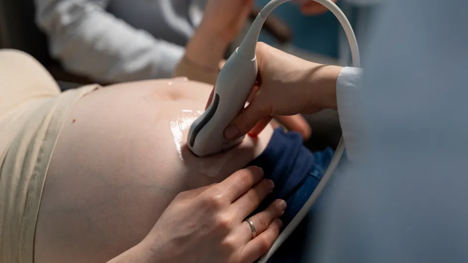 Фото: freepik.com