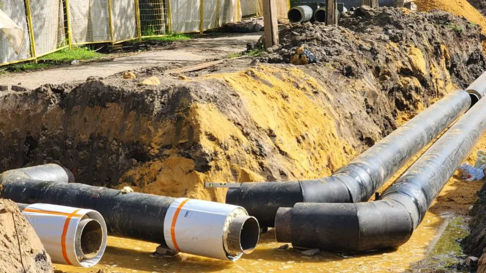 Фото: Евгений Рой