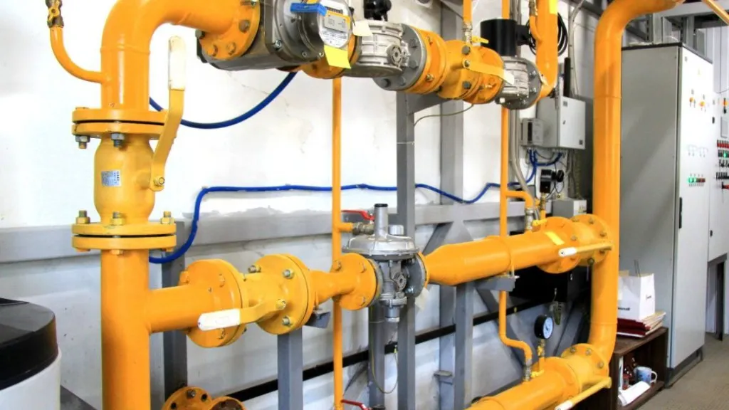 Фото: пресс-служба администрации г.о. Зарайск