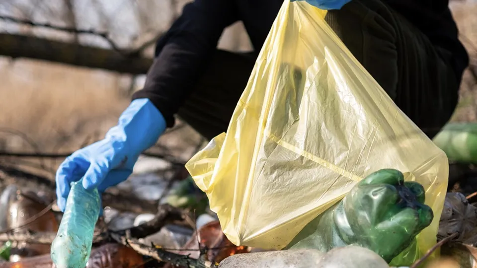 Фото: freepik.com