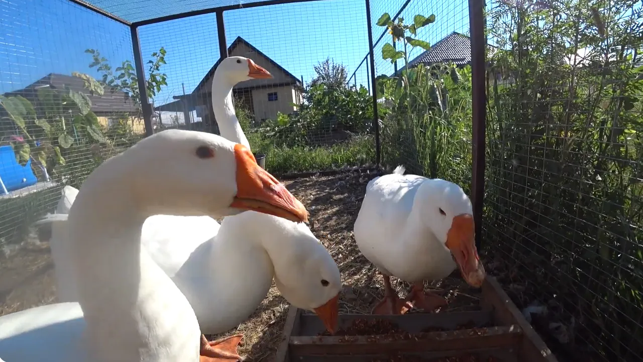 личный архив Виктории Прохоровой