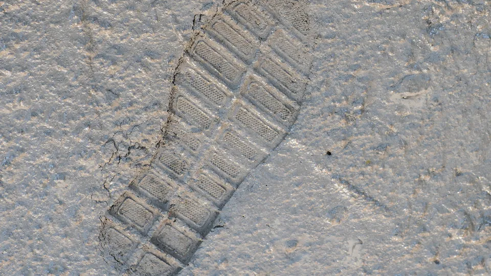 Фото: istockphoto.com/serikbaib