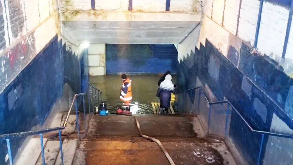 Фото: пресс-служба администрации г.о. Пушкинский