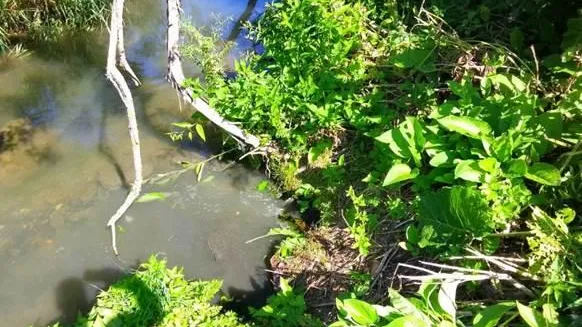 Фото: пресс-служба Министерства ЖКХ Московской области