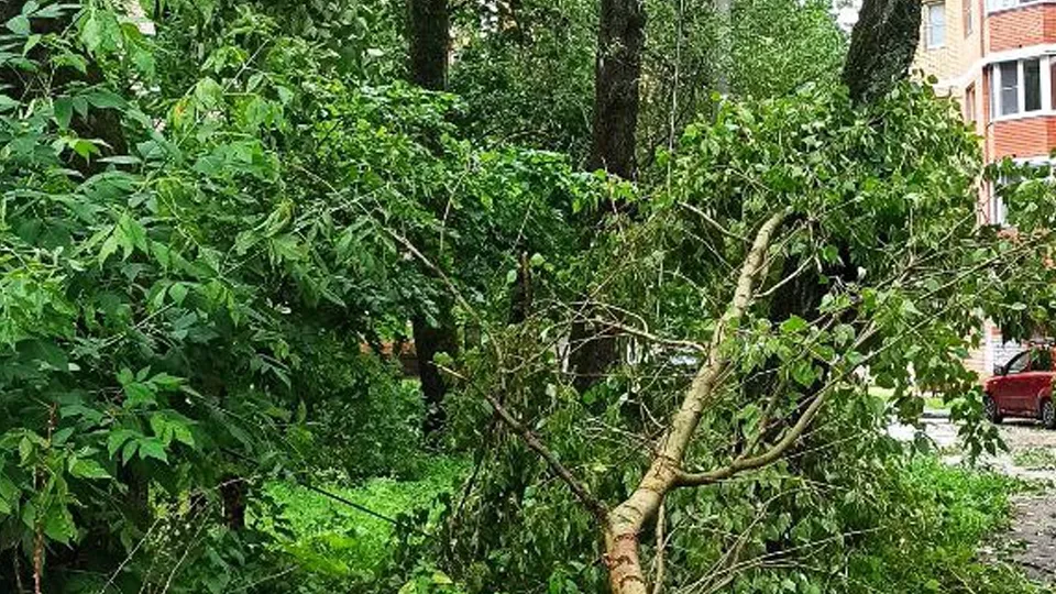 Фото: МедиаБанк Подмосковья/Лилия Закиров