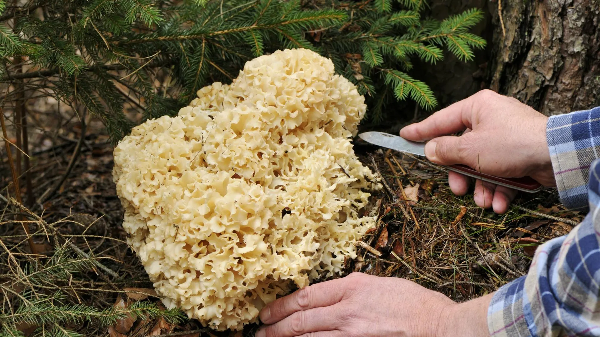 R. Kaufung/blickwinkel