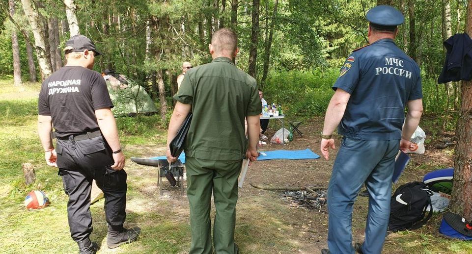 Еще 1,3 тысячи рейдов по выявлению нарушений в лесах провели в Подмосковье