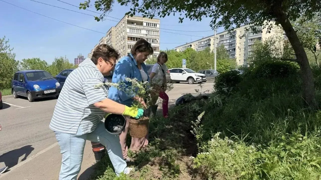 Картинка