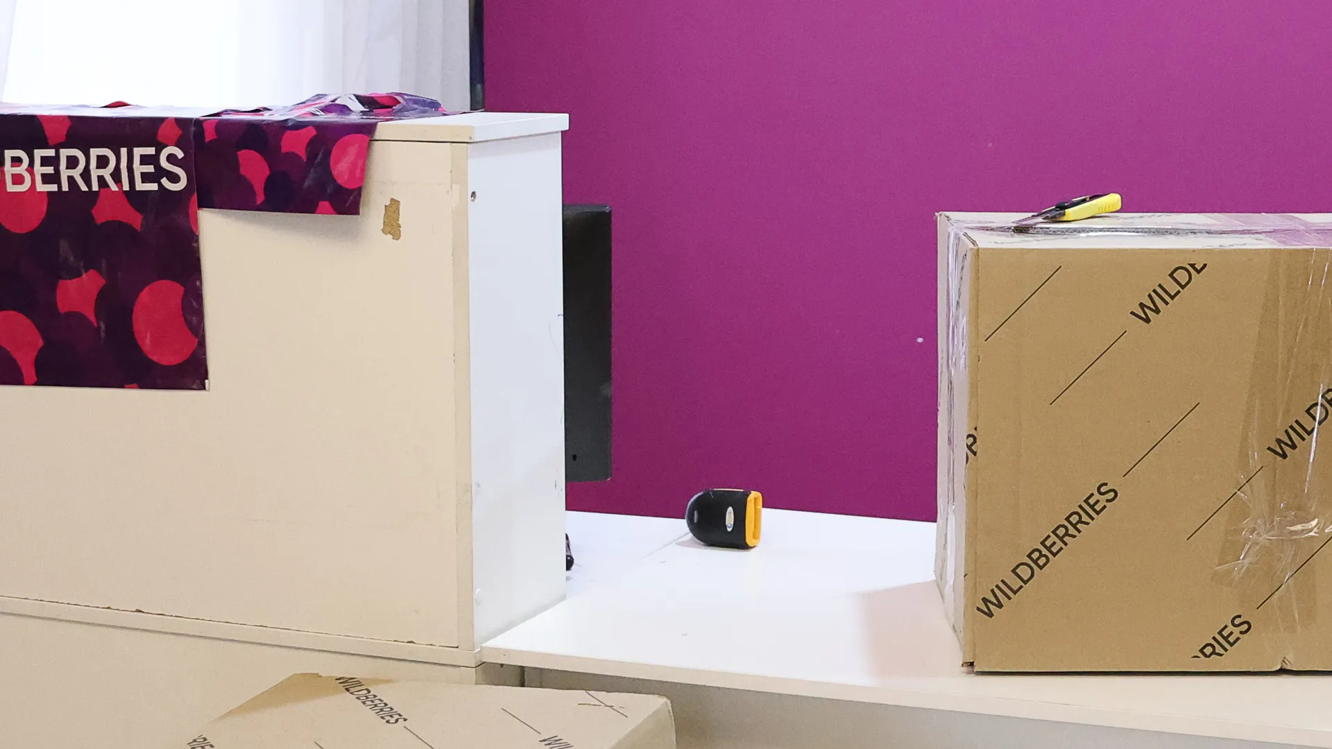 Фото: ТАСС/Елена Афонина