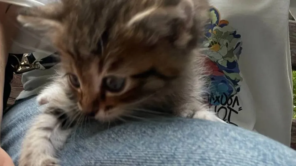 Фото: Кира Демченкова