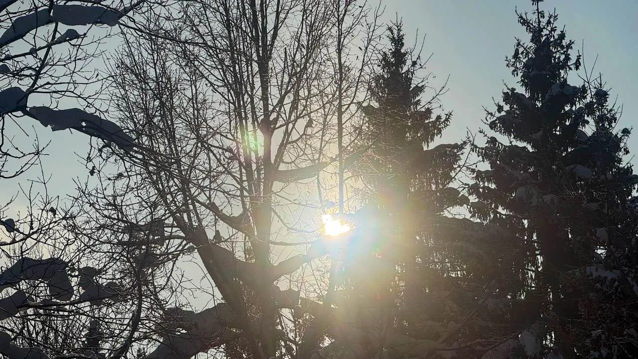 REGIONS/Анастасия Малышенко