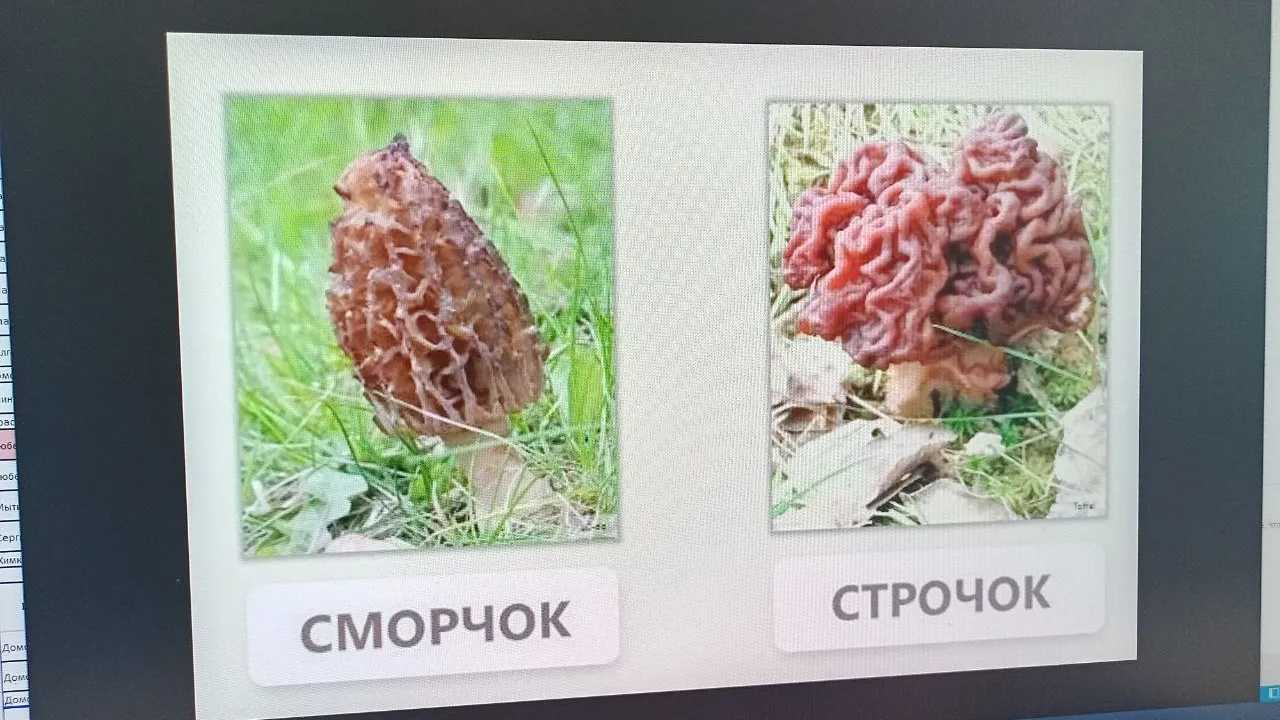 Фото: Елена Григорьева