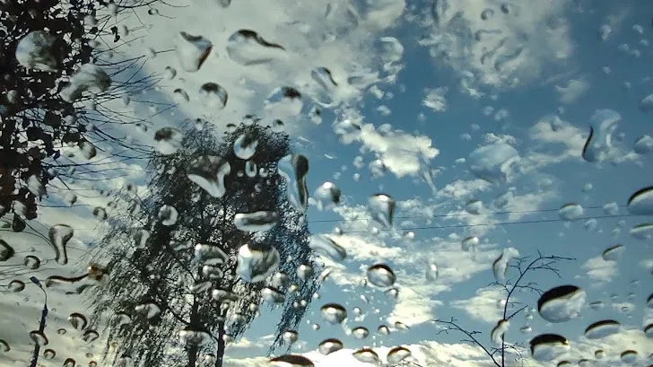 Фото: REGIONS/Алексей Селиверстов