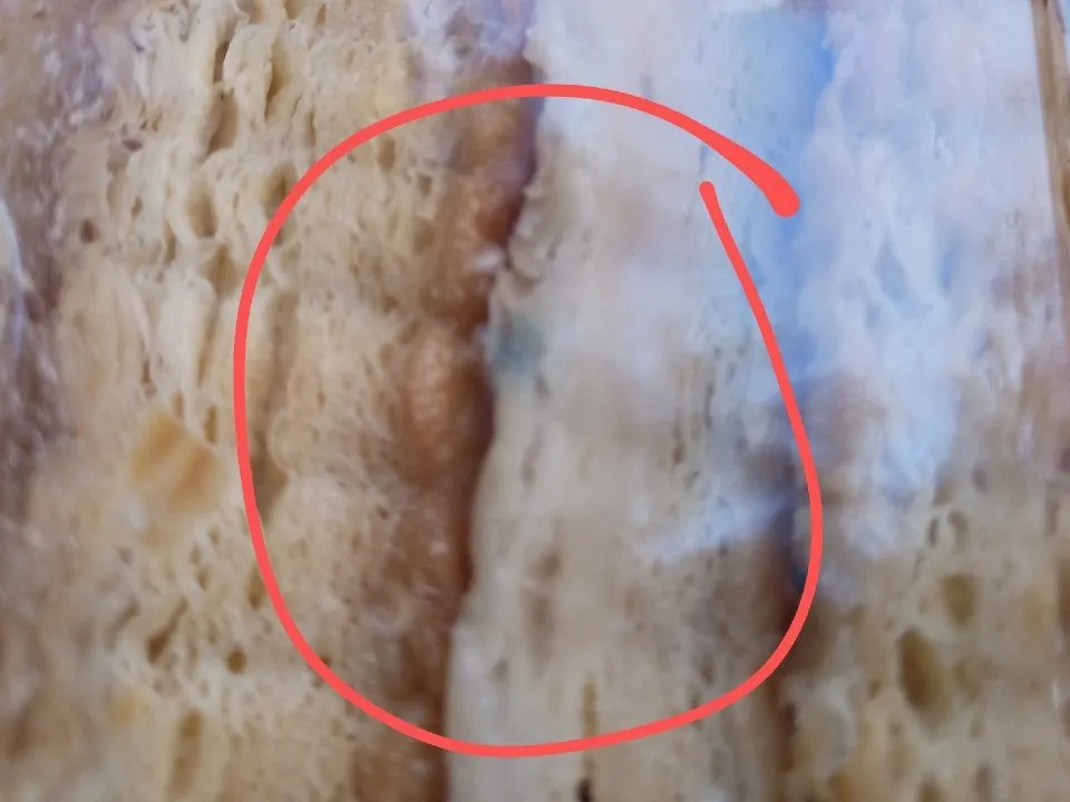 Фото: t.me/Podslushano_Dolgoprudny