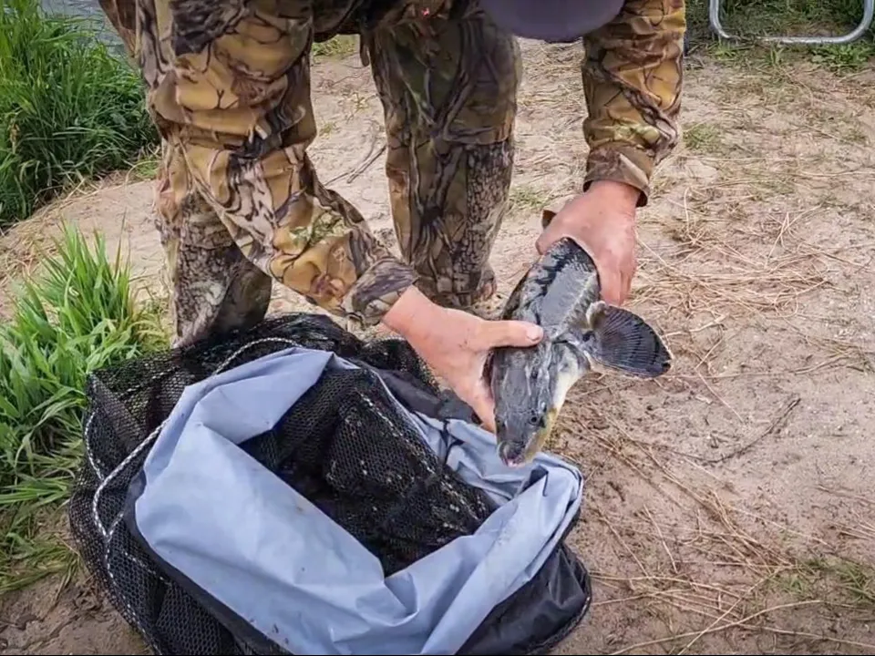 Фото: Ольга Антонова