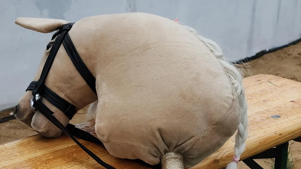 Фото: Ксения Пашуто