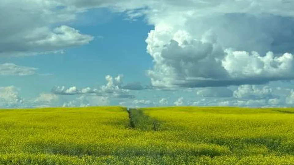 Фото: Алена Мельникова