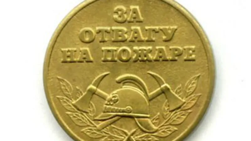 Школьник, весной спасший девочку при пожаре, получит медаль в Подмосковье