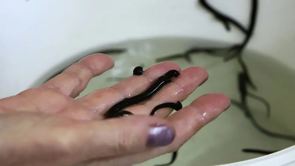 Фото: РИА Новости/Денис Абрамов