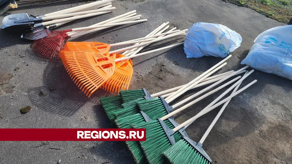 Фото: REGIONS/Валерия Исаева