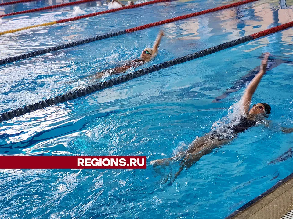 Фото: Светлана Плотникова