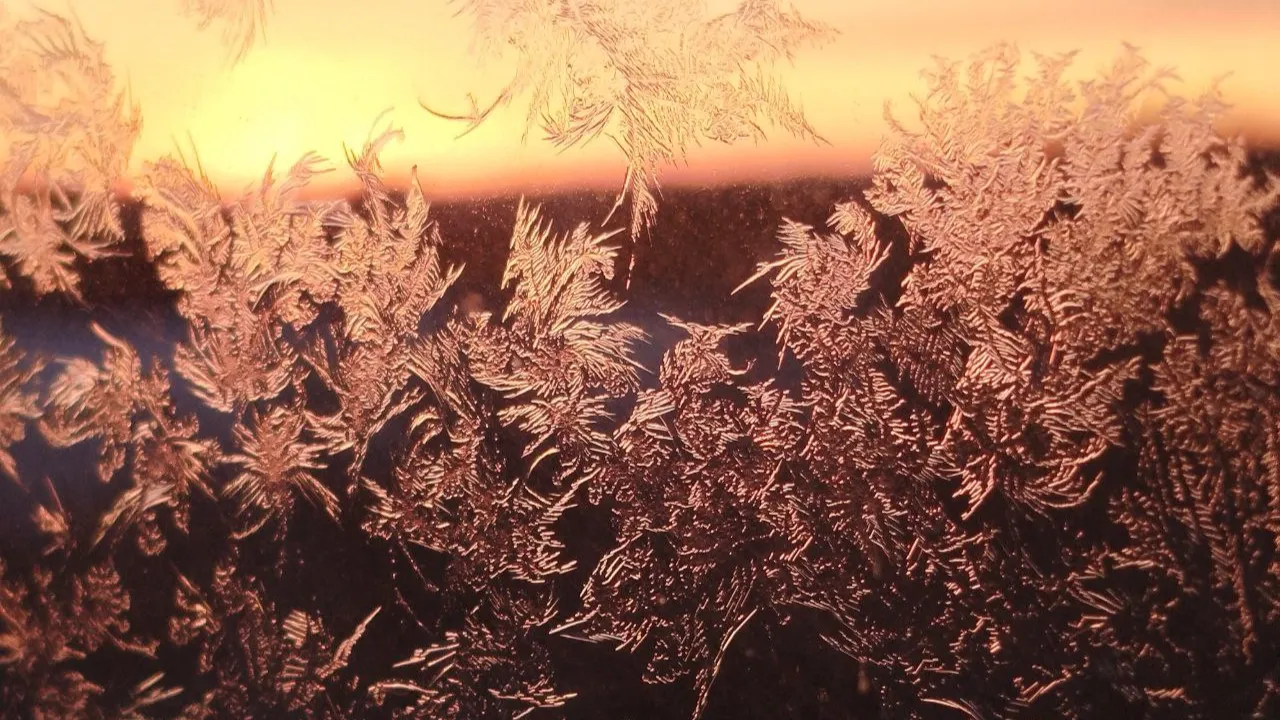 REGIONS/Юлия Куделькина