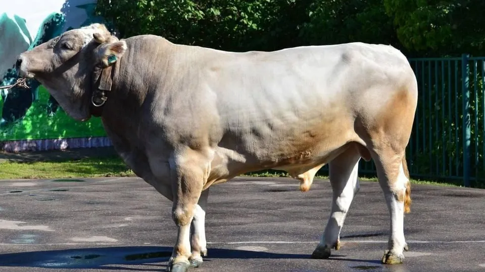 Фото: пресс-служба Министерства сельского хозяйства и продовольствия Московской области