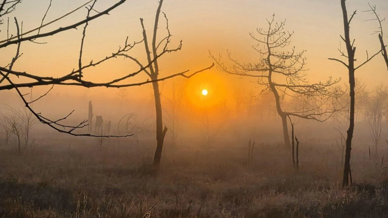 Анастасия Широкая